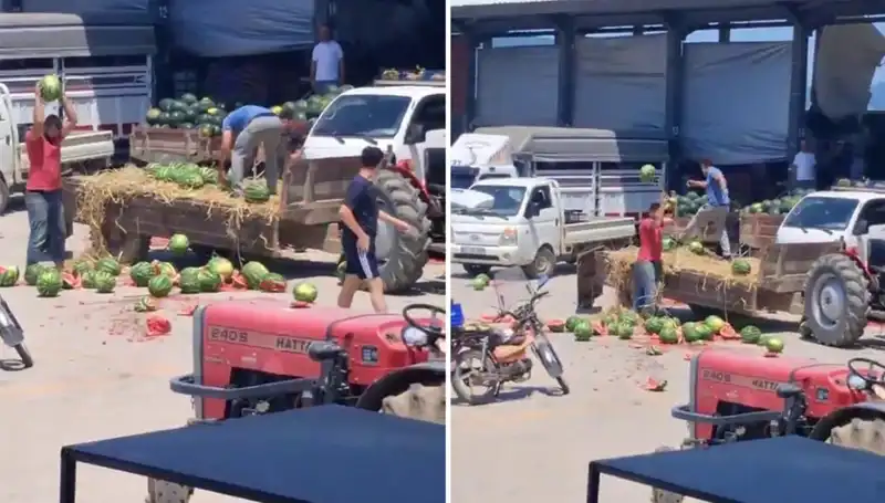 Karpuzları Yere Atan Çiftçilere Kötü Haber: Yeni Düzenleme Yolda