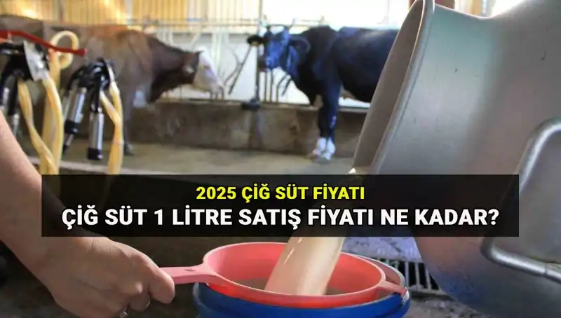 Çiğ Süt Fiyatları 2025: Ulusal Süt Konseyi'nden Yeni Gelişmeler