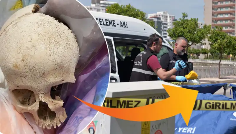 Sitenin Çöpünden Bulunan Kafatasının Gizemi ve Gözaltına Alınan Uzman Doktor