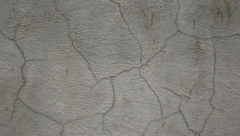 İnşaat Devrimi: Canlı Beton ile Çatlaklar Artık Sorun Olmayacak