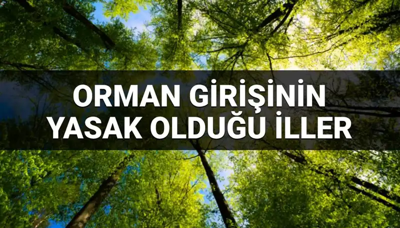 2025'te Orman Girişi Yasaklanan İllerin Listesi Açıklandı!