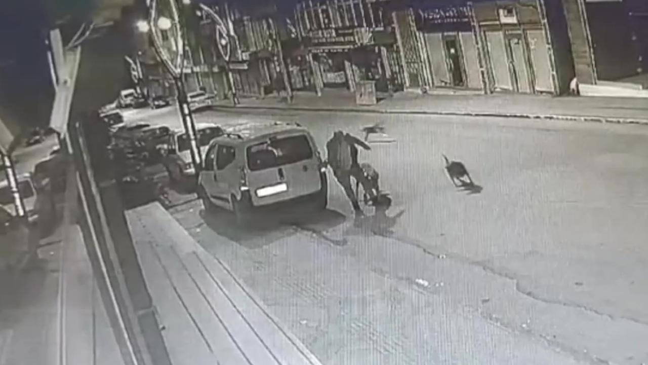 Yolda yürürken başıboş köpekler saldırdı Bu haberin başlığını yenile, spot 15 kelime açıklamasını üret ve 350 kelime haber üret.