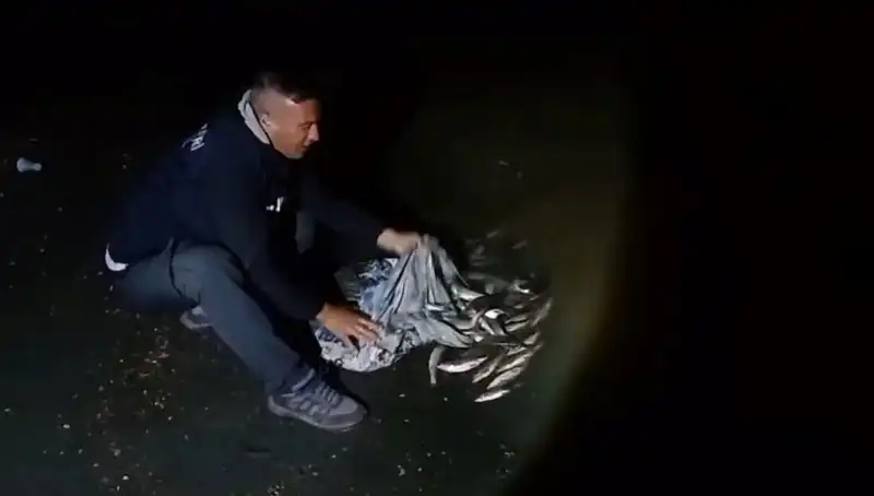 İnci Kefalinin Sıradan Avcıların Elinde 1 Ton Rekor: Yangın Gibi Tartışma!