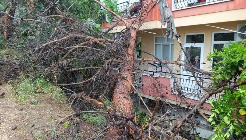 Yağmurun Sel Taşkınında Dayanılmaz Çöküş: Bina Yıkıldı!