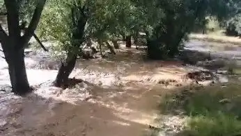 Mersin'de Yağmur Alarmı: Sağanak Yağış Sele Dönüştü