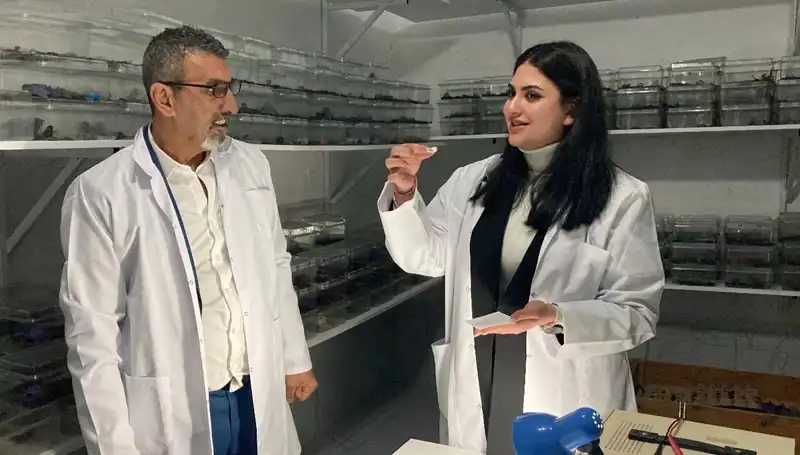 Akrep Zehri ve Şeker: Sağlıkta Şaşırtan Yeni Trend!
