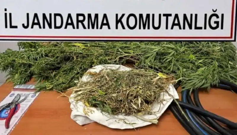 Niğde'de Uyuşturucu Operasyonu: İşte Olayla İlgili Detaylar