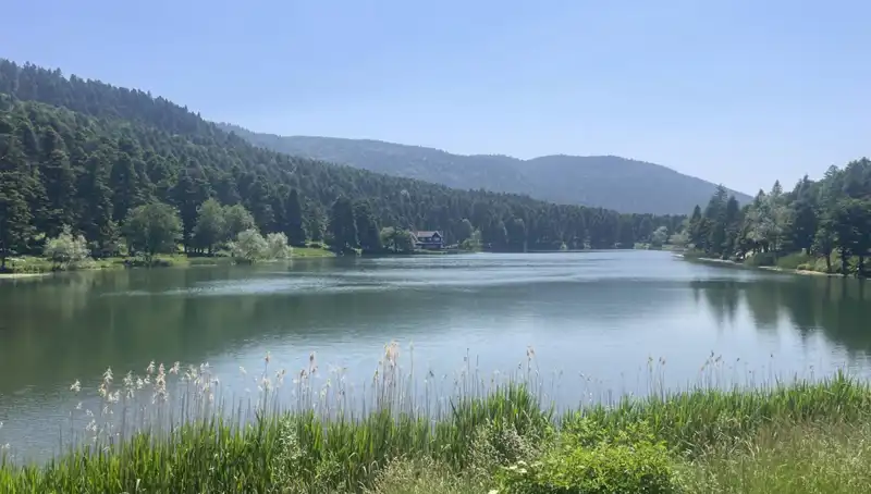 Bolu'nun Milli Parkları, Ziyaretçi Akını ile Şenlendi!