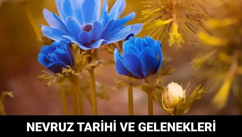 Nevruz Bayramı: Geleneği, Kutlamaları ve Anlamı İle Bir Yolculuk
