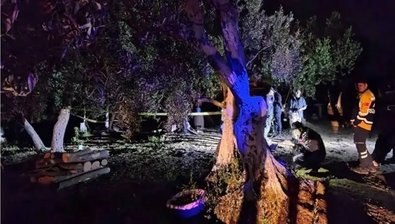 Çiftlikteki Baltalı Vahşet: Bir Tutuklama ve Ardındaki Sırlarla Dolu Olay