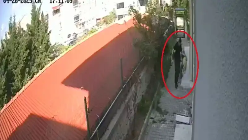 Veteriner Doktorun Köpekleri Parçalayıp Öldürmesi İle Şok Eden Olay