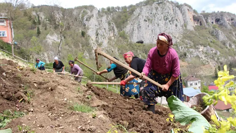 Zorlu Mesai: Göz Alıcı Manzaralarda Sırt Sepetleri ve Ellerinde Kazmalarla Çalışanlar