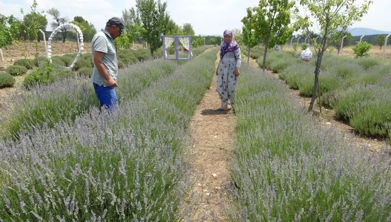 Hobi ile Başlayan Serüven: Yeni Bir Geçim Kaynağı Yaratmak