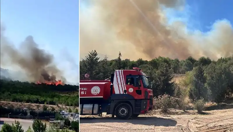 Gebze'de Korkutan Orman Yangını: Yangın Sırasında Yaşananlar ve Son Gelişmeler