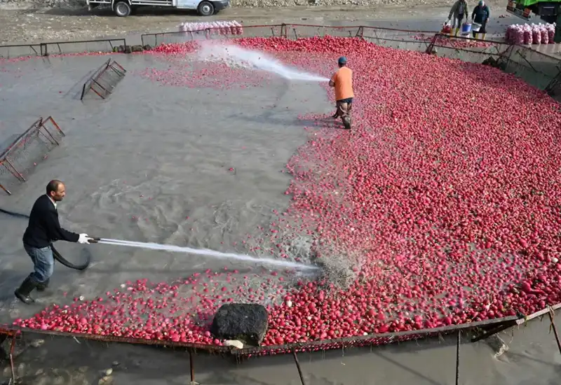 Çamurda Gizli Şifa: Doğanın Hazinesi Yüzyıllardır Hasat Ediliyor