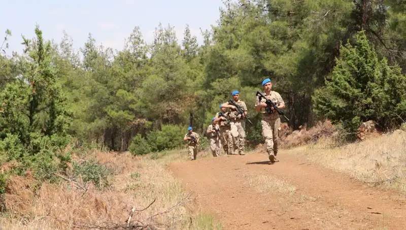 Kilis'te Orman Yangını Denetimleri Sıkılaştırıldı: Tehlikeye Karşı Önlemler Alınıyor