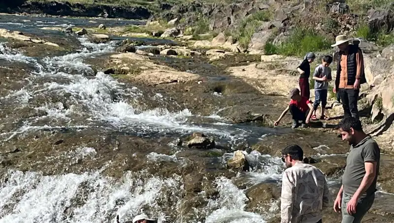 İnci Kefali Göçü: Doğanın Mucizesi Büyüleyici Manzaralarıyla Turistleri Bekliyor