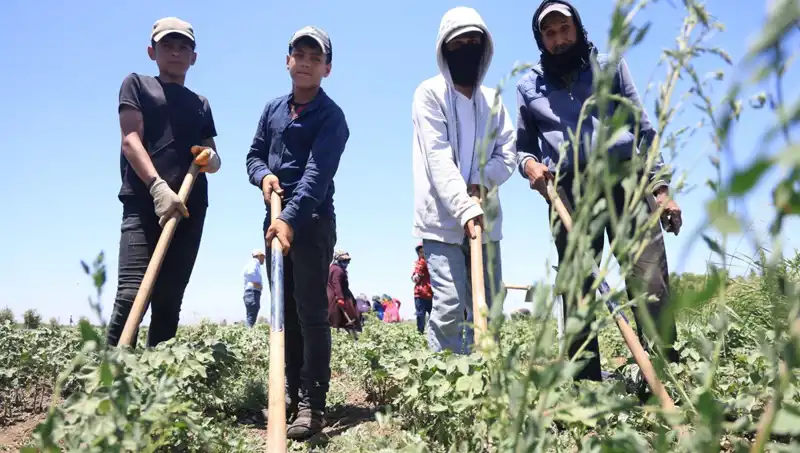 Sıcak Hava ve Zorlu Mesai: İşçiler Günde 650 TL için Mücadele Ediyor