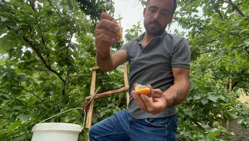 50 TL ile 70 TL Arasında Damak Çatlatan Lezzet: Satışa Çıktı!