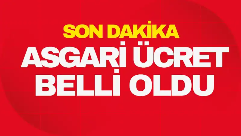 2023 Asgari Ücret Tutarı Açıklandı: Çalışanları Neler Bekliyor?