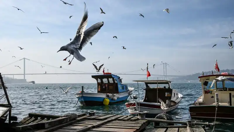 İstanbul'da Bahar Havası Gelişi: Tarih Belirlendi, Keyfini Çıkarın!