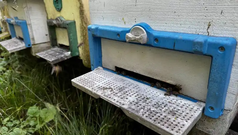 Dedesinin Öğütleriyle Başlayan Üretim Serüveni: 1 Ton Hedefiyle Çiftçilikte Devrim!