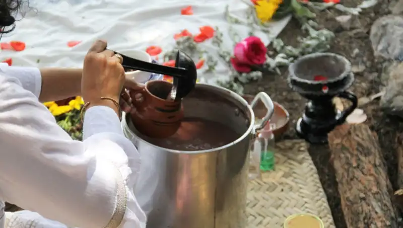Ayahuasca: Şifalı İçki Mi Yoksa Tehlikeli Bir Deneyim Mi?