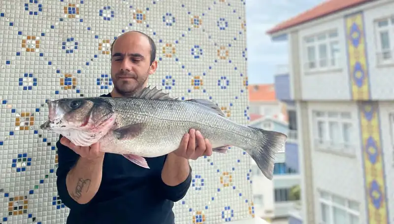 Türkiye’de Tarih Yazdıran 7,5 Kiloluk Dev Levrek Yakalandı