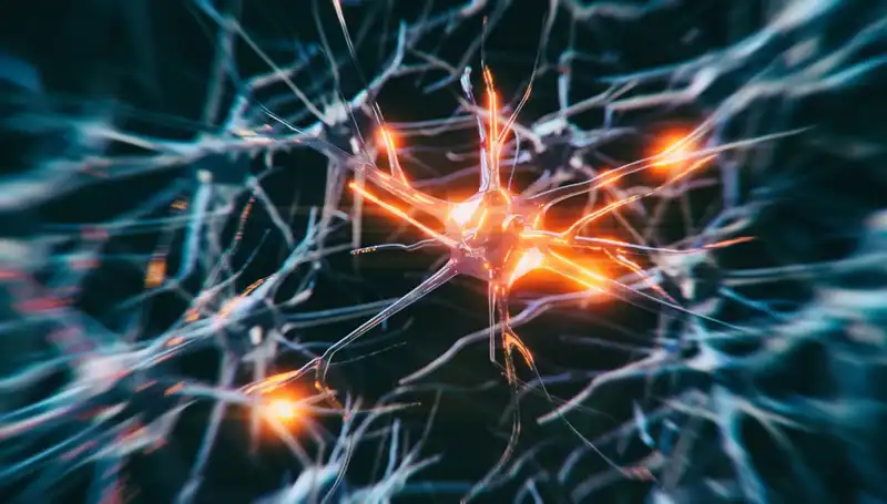 Alzheimer Vakalarının Artışı: Nedenleri ve Çözümleri Üzerine Derinlemesine Bir Bakış
