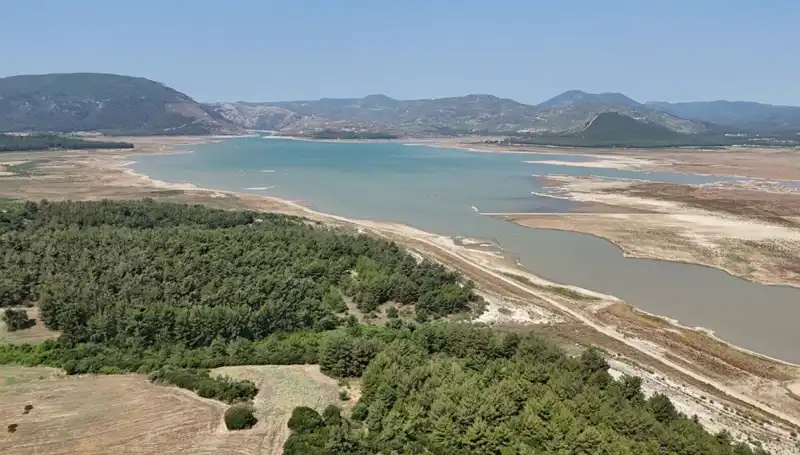 İzmir’de Tehlike Çanları: Geçen Yıla Göre Yüzde 50 Düşüş Nedenleri