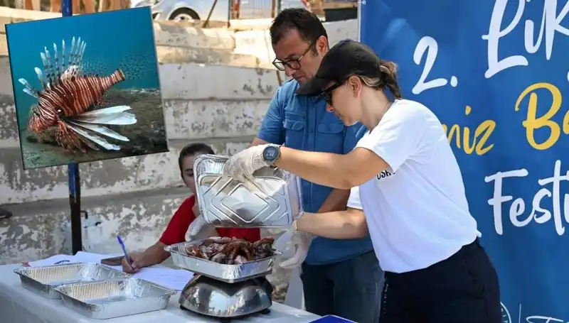 Antalya'da İstilacı Aslan Balığı Avlama Yarışması: Doğayı Kurtarmak İçin Bir Adım Daha