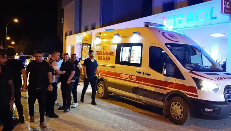Kardeş Kavgasına Müdahale Eden Genç, Hayatını Kaybetti!