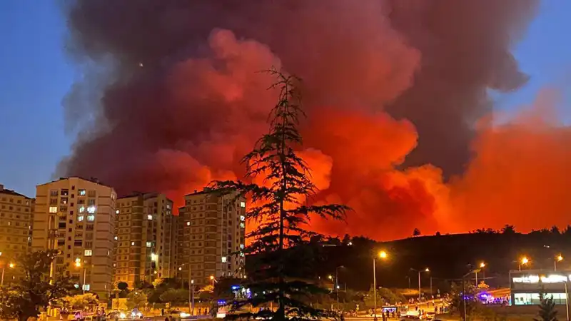 Bursa'da Sıradışı Yangınlar: Şehirde Neler Oluyor?