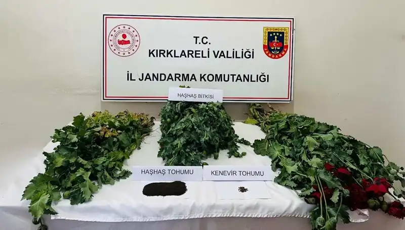 Kırklareli'nde Uyuşturucu Çetesi Çökertildi: 8 Gözaltı