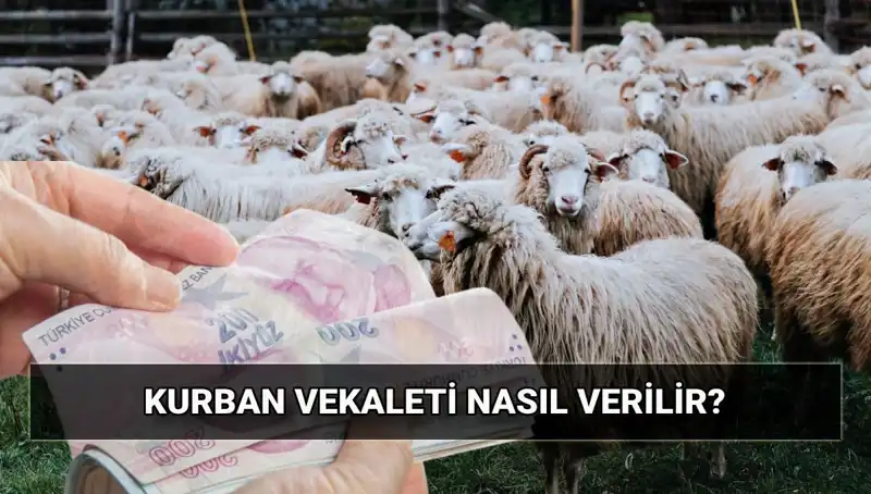 Vekaletle Kurban Kesimi: Nasıl Yapılır ve 2025 İçin Bedel Nasıl Belirlenir?