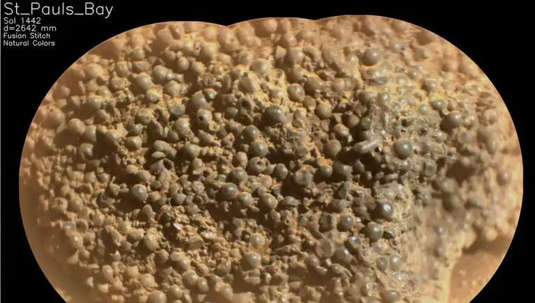 Mars'ta Gizemli Keşif: Bilim İnsanları "Örümcek Yumurtaları" Buldu