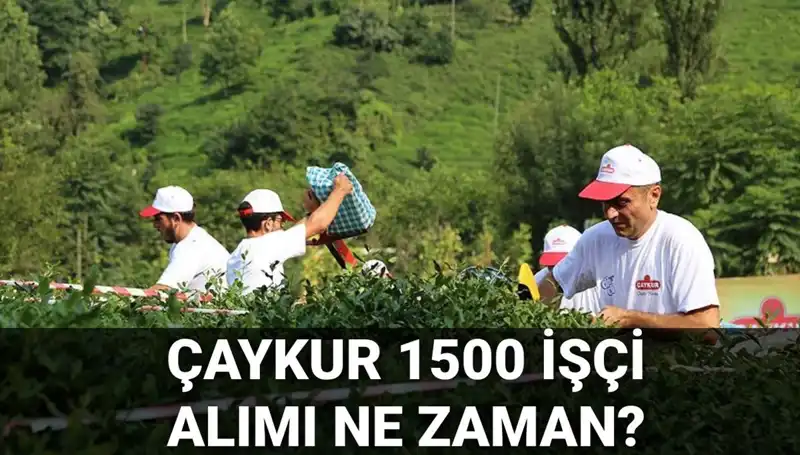 ÇAYKUR İşçi Alımında Kura Çekimi Ne Zaman? İşte Tüm Detaylar