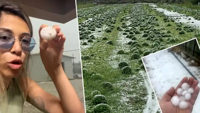 Antalya'yı Vuran Dolu ve Hortum: Hayatları Altüst Eden Felaket