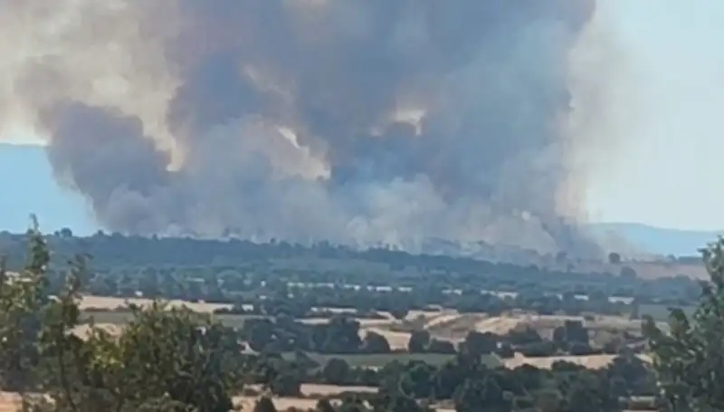 Komşudaki Orman Yangını Edirne'yi Neden Dumana Boğdu?