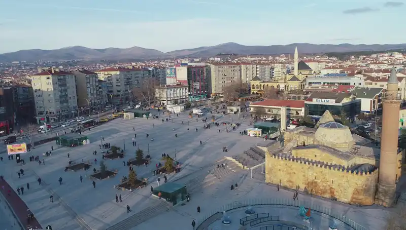 Kırşehir’de Bilim Dünyasını Sallayan Yeni Böcek Türü Keşfedildi