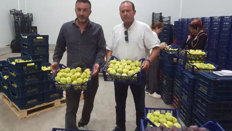 Mersinli Çiftçilerin Yeni Umudu: 20 TL'den İhraç Edilen Ürünler!