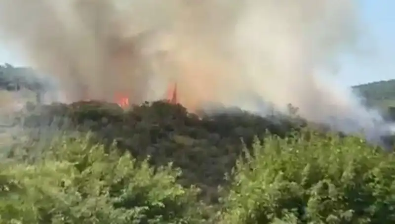 İstanbul'da Yangın Felaketi: Vatandaşlar Acil Tahliye Edildi!