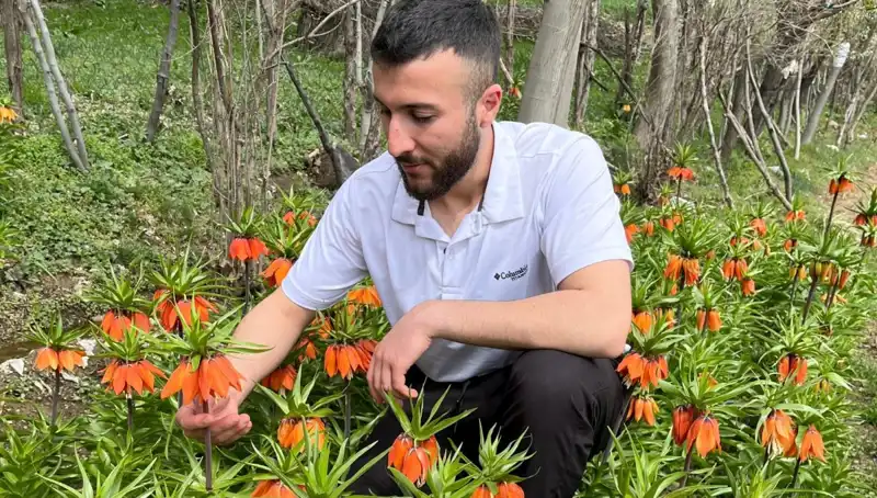 Ağlayan Gelin: 20 Günlük Hayatında Koparılmaması Gereken Çiçek