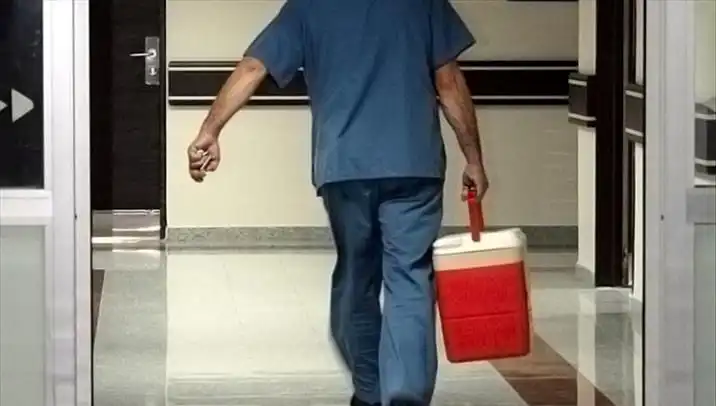 Organ Bağışında Devrim: e-Devlet ve e-Nabız ile Kolay Başvuru Süreci