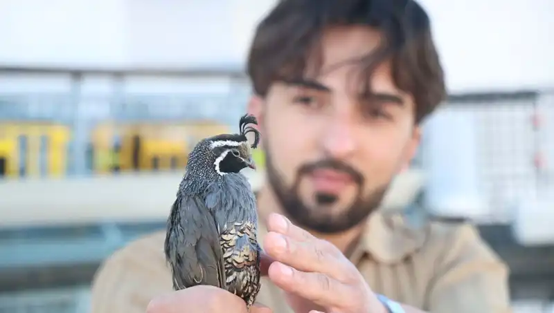 ABD'den 17 Tür Sipariş Verdi, Genç Girişimci Dünyayı Kendi Çiftliğinden İhracat Yapıyor