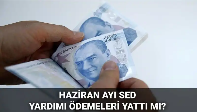 Haziran 2025 SED Ödemeleri: Sorgulama Süreci ve Ödeme Tarihleri