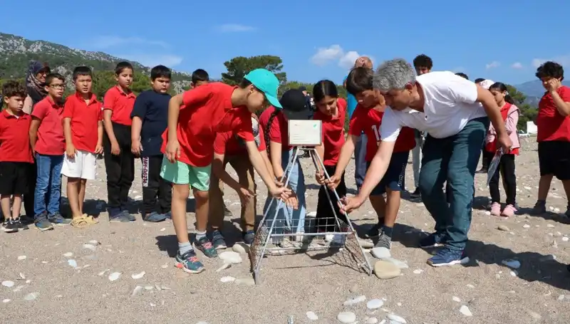 Kemer'de Caretta Caretta Yasakları Başladı: Deniz Kaplumbağalarını Koruma Adımları