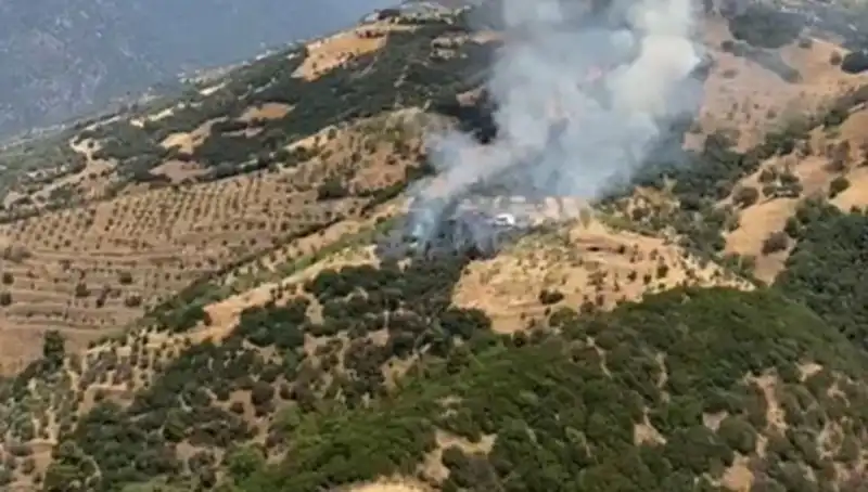 Aydın’ın Zeytinliklerinde Çıkan Yangın Korkuttu: Zarar ve Maddi Hasar Ne Olacak?