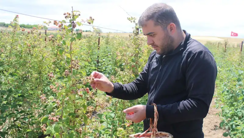 Hobi Olarak Başladı, Talebe Patladı: Yeni Bir Girişim Hikayesi