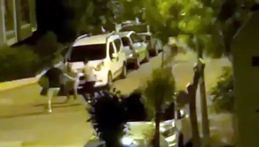 Avcılar'da Üç Kişilik Çetenin Saldırısına Kurtarıcılar Yetişti